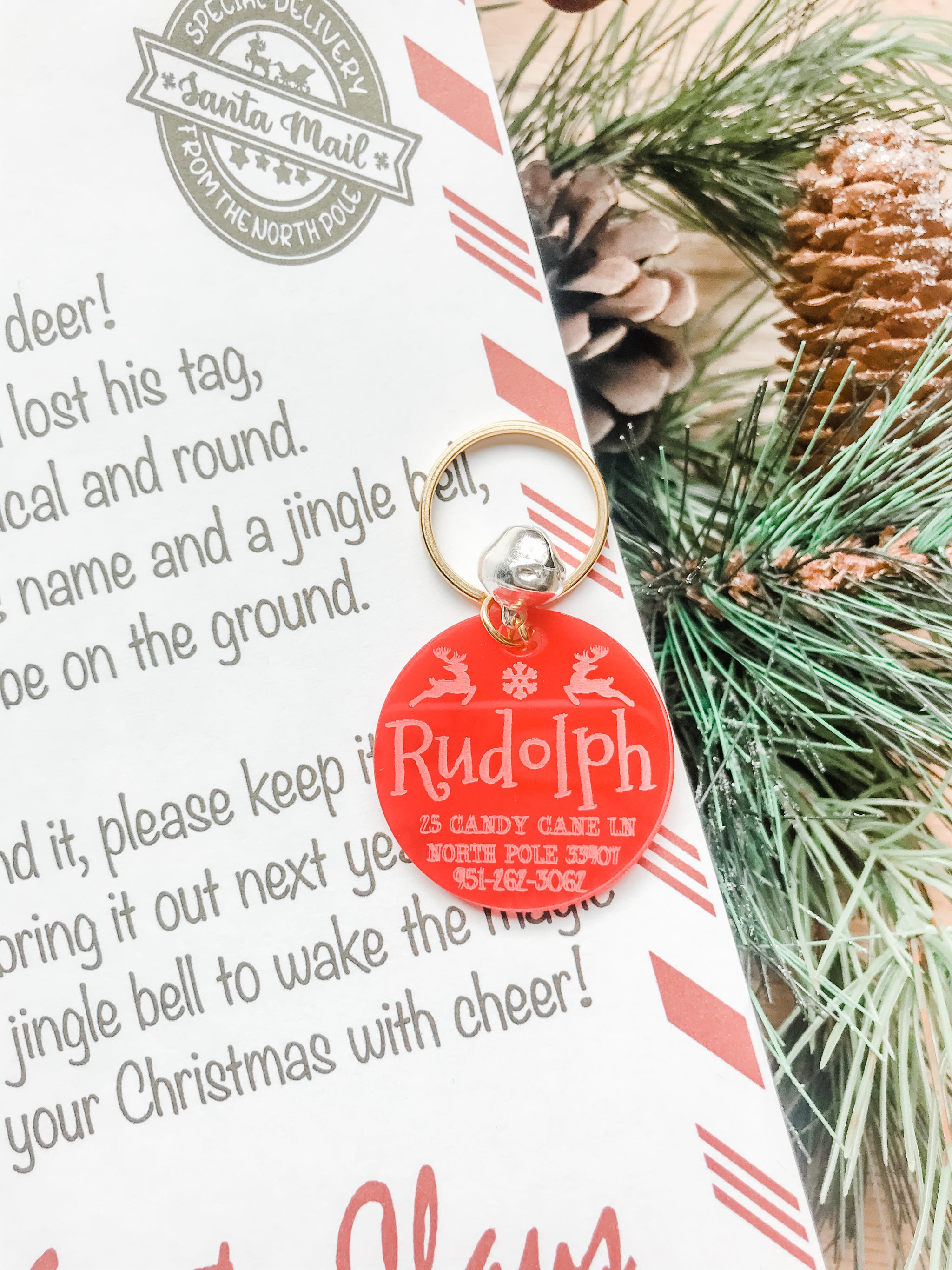 Rudolph’s lost tag with letter – Sugar Locks